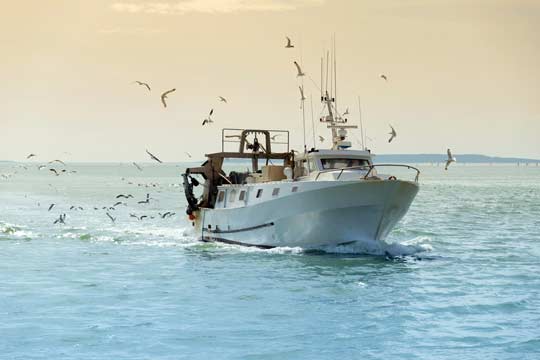 Ich will Meer sehen, Urlaub-box, Bretagne