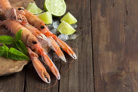 une envie de fruits de mer en Bretagne