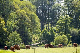 bed and breakfast e appartamenti in Bretagna Francia